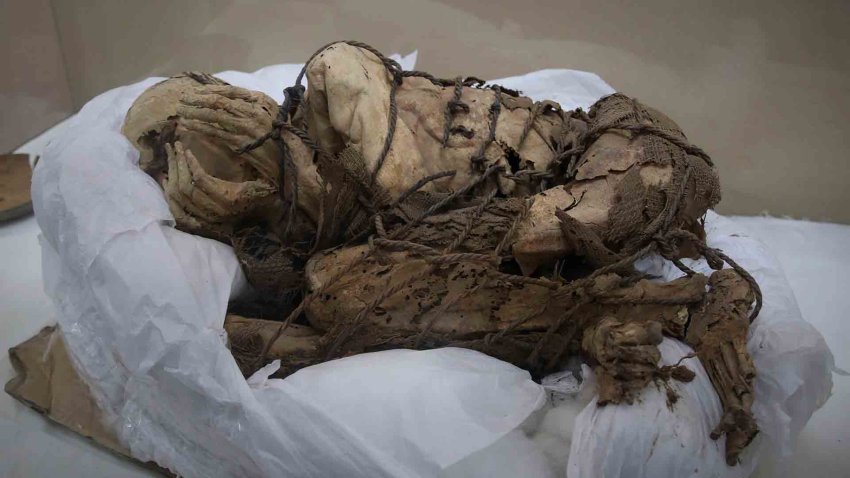 El aparente y antiguo sacrificio masivo de niños jamás descubierto, asociado a momia en Perú