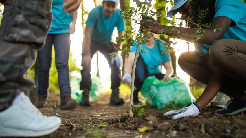 Happy community service people cleaning up the park and Planting Tree In Park
