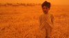 En video: aterradoras tormentas de arena dejan al menos un muerto en Irak