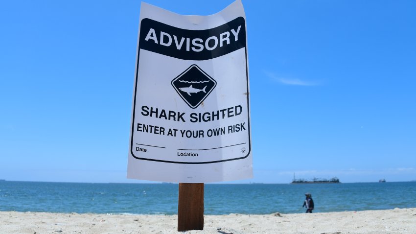 Warning signs for shark sightings remain in Long Beach, California, on May 16, 2017, where Great White sharks and their pups have been sighted regularly off southern California beaches.
The increase in shark sightings around the start of summer is similar to the influx seen in 2016. Marine safety officials attribute the activity to the thriving aquatic ecosystem in the area.   / AFP PHOTO / FREDERIC J. BROWN        (Photo credit should read FREDERIC J. BROWN/AFP via Getty Images)