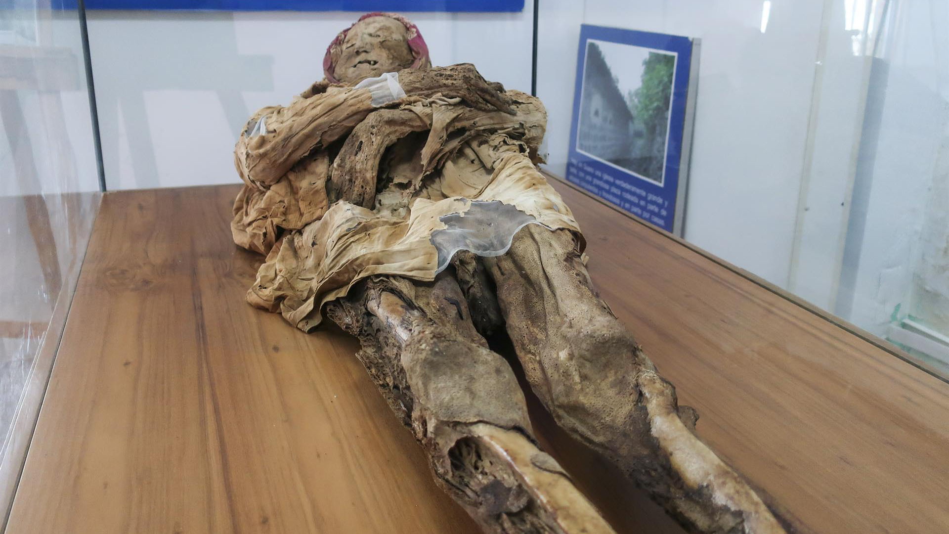 Descubren dos tumbas con 60 momias en Egipto – Telemundo Nueva Inglaterra