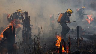 Incendios forestales