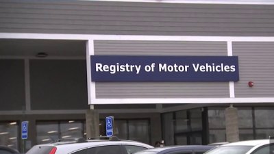 Próximos pasos: Licencias de conducir para indocumentados en Massachusetts