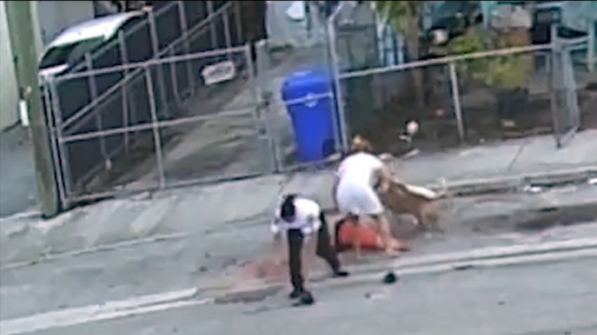 Video de terror: el peligroso ataque de dos perros bulldogs en Florida