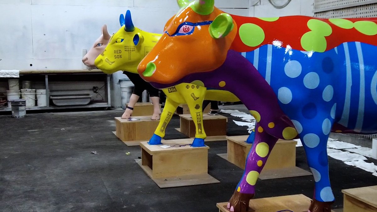 Colorful Cows and Creative Art Celebrating the Jimmy Fund with