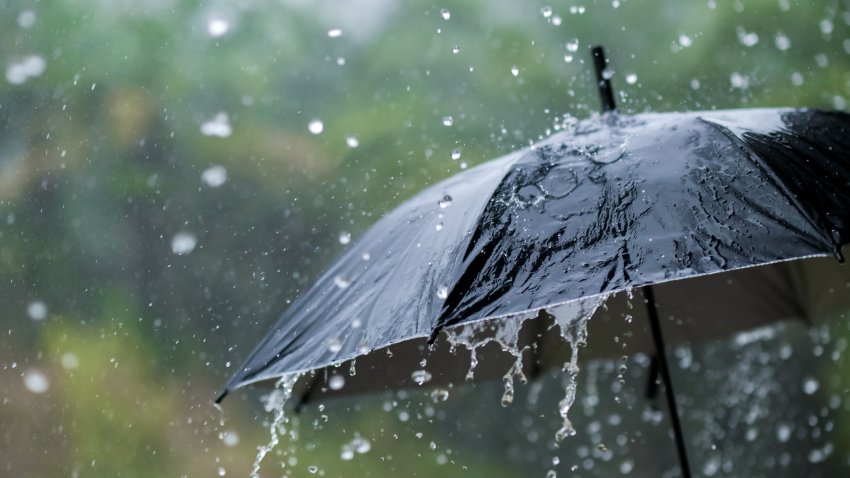 Rain pouring onto an umbrella.