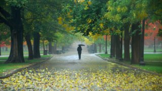 Fall Rain on Boston Common