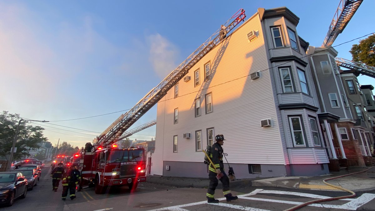 Firefighters Battle East Boston Fire, Rescue Residents and Cats – No Injuries Reported