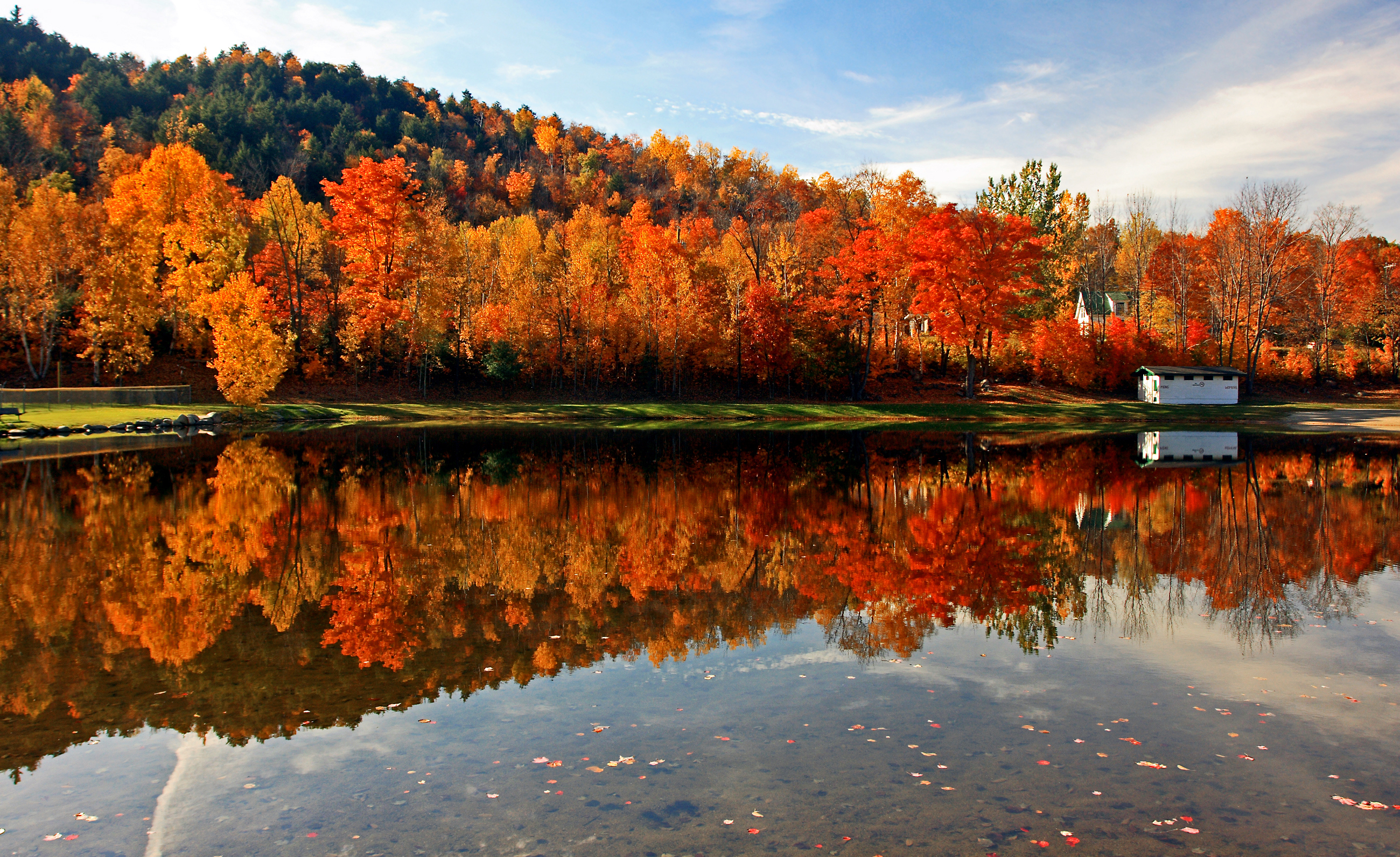 Brilliant New England foliage along a small pond in New Hampshire White Mountains National Forest