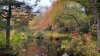 10 recorridos para disfrutar del follaje de otoño en Connecticut