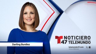 T47_DarlingBurdiez_ WebProfile