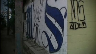 Arrestan a miembro de la Mara Salvatrucha en relación con asesinato en Chelsea