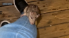 Residente de East Boston habla de su “encuentro cercano” con una rata que trepó por su pierna