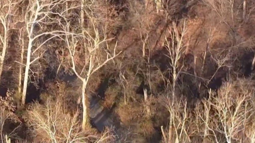 Buscan al cliclista del machete que corta al azar en Pennypack Park