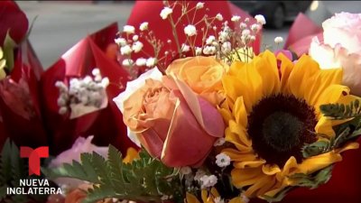 Advierten de floristerías falsas en línea durante San Valentin