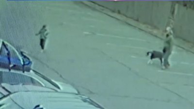 Buen samaritano encuentra niño de 3 años con autismo que iba a bordo de auto robado