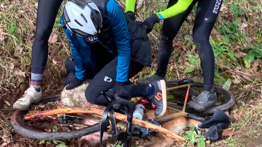 Un grupo de mujeres ciclistas utiliza una bicicleta para inmovilizar a un puma que atacó a una de ellas en el estado de Washington.