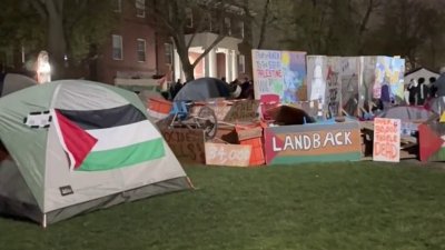 Continúan protestas pro-Palestinos en universidades