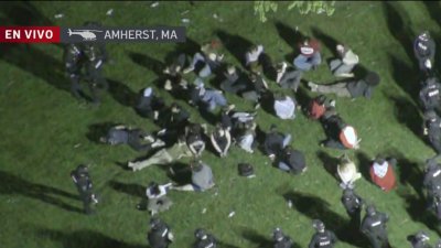Estudiantes arrestados en UMass Amherst