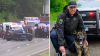 Policía estatal de Connecticut muere impactado por conductor en la autopista I-84