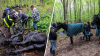 Rescatan a caballos atrapados en el barro durante varias horas en Connecticut