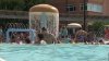 Ofrecen clases de natación gratis en piscinas de Massachusetts