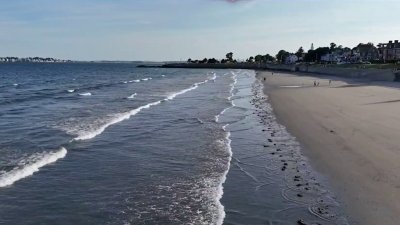 Cierran decenas de playas en Mass. por exceso de bacterias