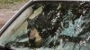 Un oso negro y su osezno destrozan un auto en Connecticut tras quedar atrapados en su interior