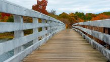 Foot Bridge on a walking path-Cape Cod Massachusetts