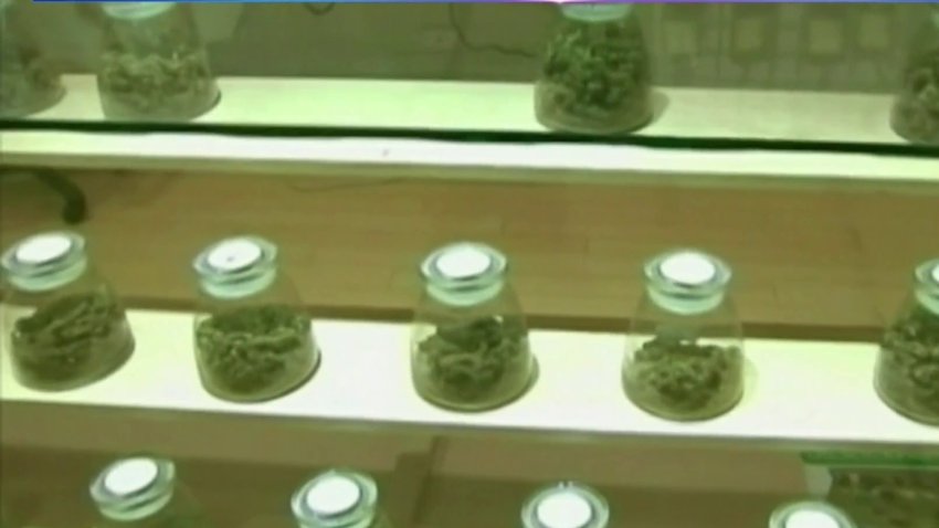 Preocupación en Revere por posible autorización de dispensarios de marihuana