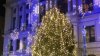 La ciudad de Providence busca el “árbol de Navidad perfecto” para su celebración navideña