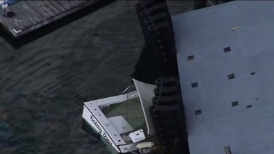 Grúa colapsa y cae sobre bote en puerto de East Boston