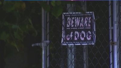 Mujer muere tras ataque de perro en Boston