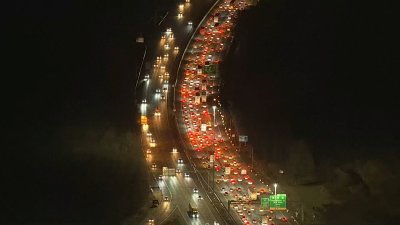 AAA: Los viajes de Thanksgiving superarán las cifras previas a la pandemia
