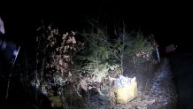 Three totes of Amazon packages were found in the woods in Lakeville, Massachusetts, over the weekend.