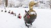 Totales de nieve: esta es la cantidad de nieve que cayó en Nueva Inglaterra en víspera de Navidad