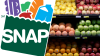 ¿Quiénes aplican y qué productos se pueden comprar con los cupones de alimentos SNAP?