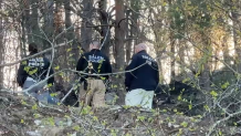 Police in a wooded area in Salem, Massachusetts, during an investigation on Wednesday, April 23, 2025.