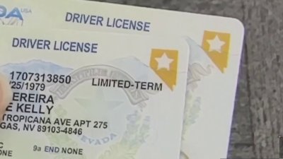 Residente con TPS no puede sacar Real ID en New Hampshire