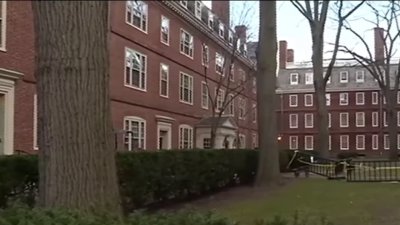 Harvard no recibirá nuevas subvenciones federales
