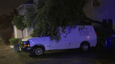 Fuertes vientos derriban árboles durante la tormenta costera