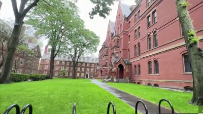 Trump prohíbe a Harvard inscribir a estudiantes extranjeros