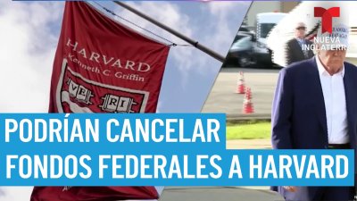 Trump se prepara para cancelar fondos federales a Harvard