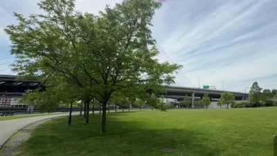 Investigan agresión sexual en parque de Boston