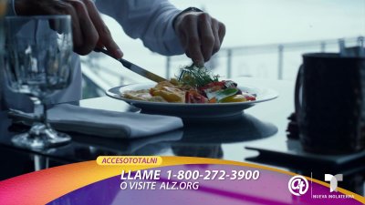 Alimenta tu cerebro: Consejos diarios de nutrición