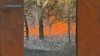 Apagan fuego que ardía en base militar de Cape Cod