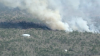 Se registra incendio forestal en Cape Cod