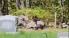 VIDEO PERTURBADOR: Buscan a persona que disparó a un pavo en cementerio de NH