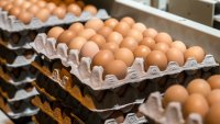 Cartons of brown eggs packaged at a plant in South Africa.