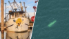 Hallan dos muertos a bordo de barco pesquero desaparecido que se hundió frente a Cape Cod